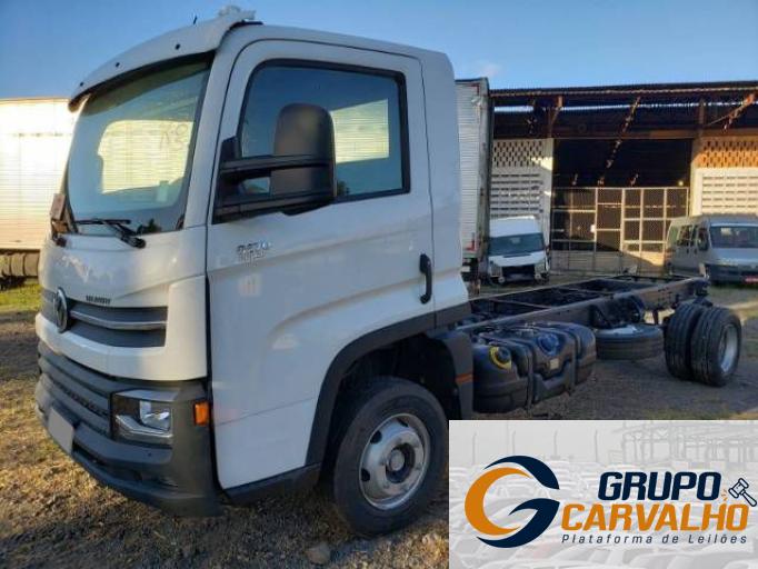 VOLKSWAGEN DELIVERY 20/20